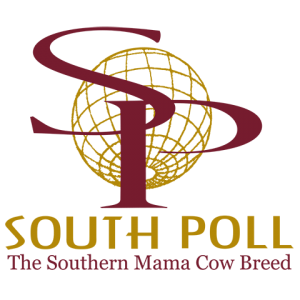 Sassafras Valley Ranch | South Poll Grass Cattle Association