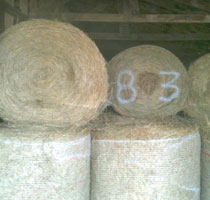 Keep an Accurate Bale Count