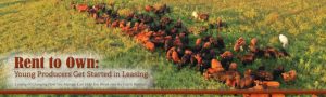 Sassafras Valley Ranch Featured in Missouri Beef Cattleman
